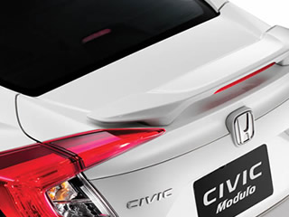 Trunk spoiler (wing type)