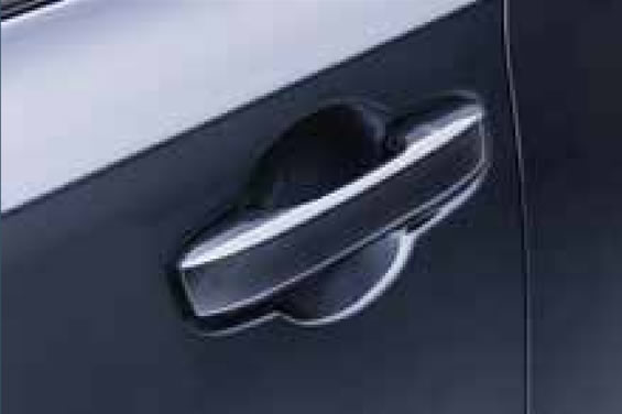 Smart Keyless Entry Door Handles