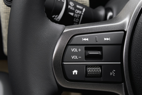 Steering Wheel Controls