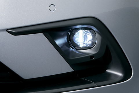 Front fog light with chrome garnish